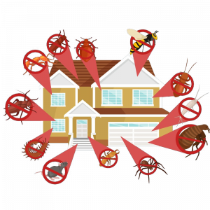 Home pest control exclusion service