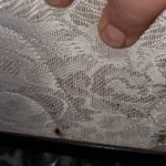 Pest Control WV service photo
