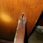 Pest Control WV service photo