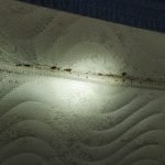Pest Control WV service photo