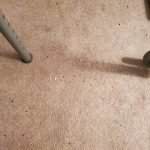 Pest Control WV service photo