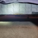 Pest Control WV service photo