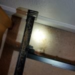 Pest Control WV service photo