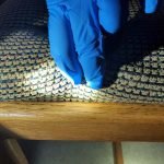 Pest Control WV service photo