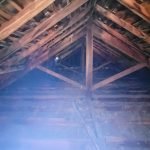 Pest Control WV service photo