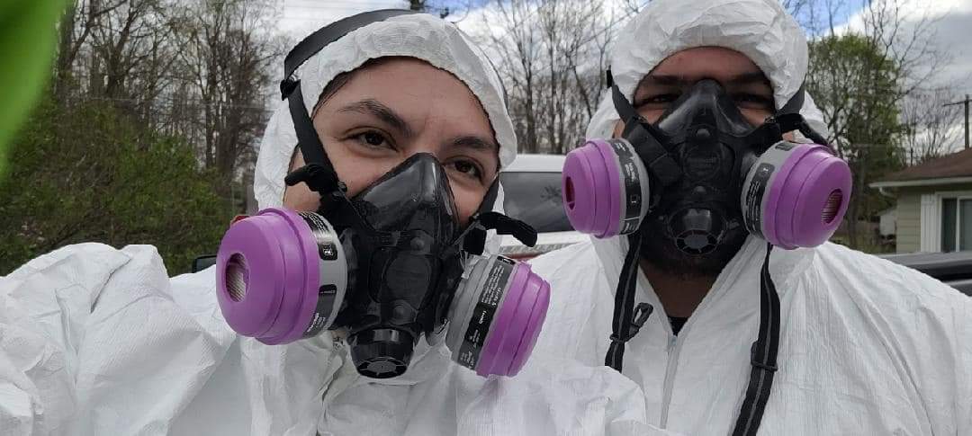 Bed bug service preparation