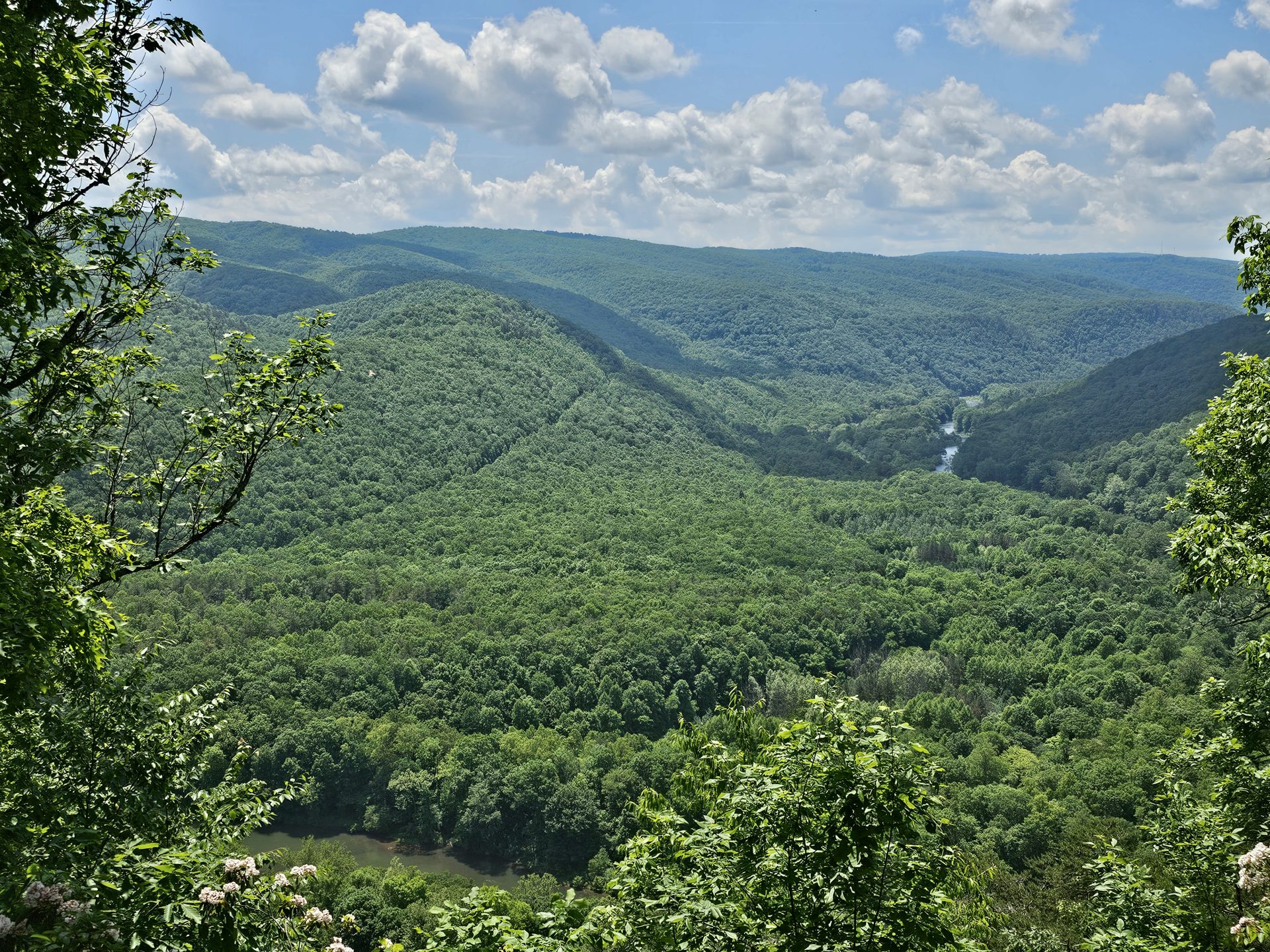 Landscape view in West Virginia
