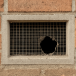 Crawlspace vent
