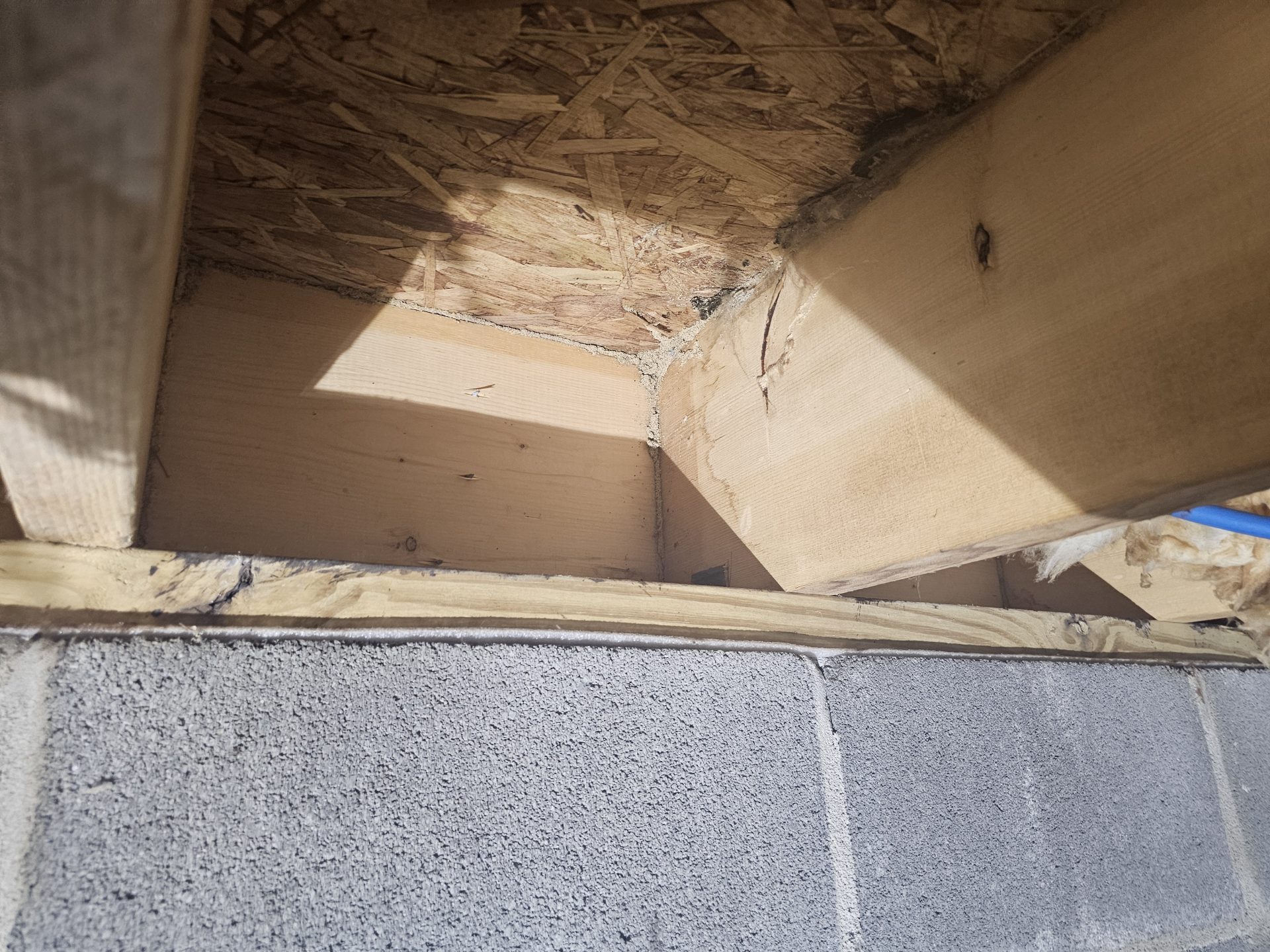 Pest Control WV service photo
