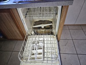 Cockroach near dishwasher